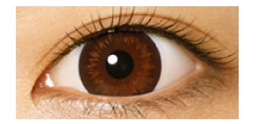 ラディアントシック