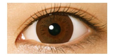 ラディアントシック