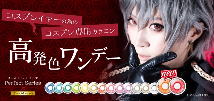 Perfect Series 1day p[tFNgV[Y f[